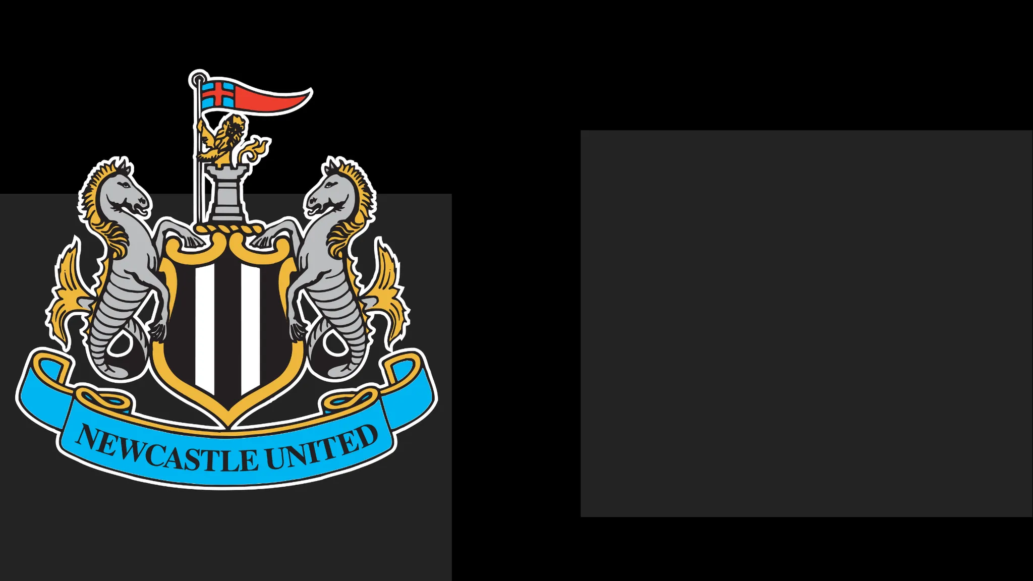 Newcastle's boss Praises Team's Determination – However That Only Carries Them This Far